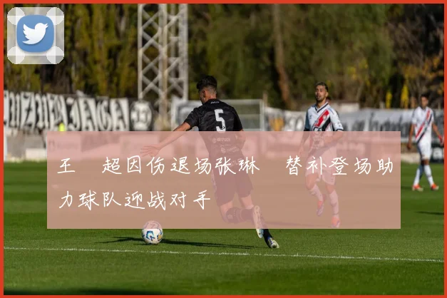 王燊超因伤退场张琳芃替补登场助力球队迎战对手