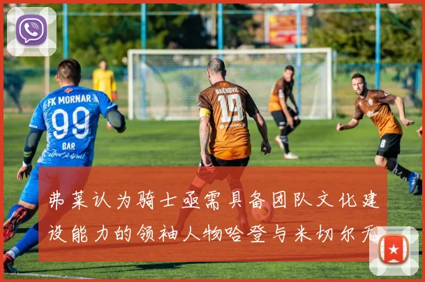 弗莱认为骑士亟需具备团队文化建设能力的领袖人物哈登与米切尔无法胜任