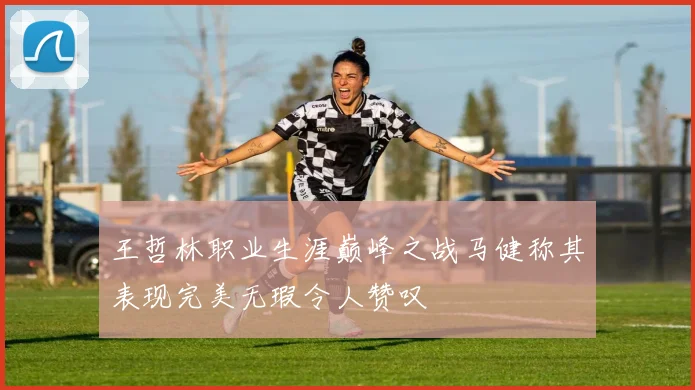 王哲林职业生涯巅峰之战马健称其表现完美无瑕令人赞叹